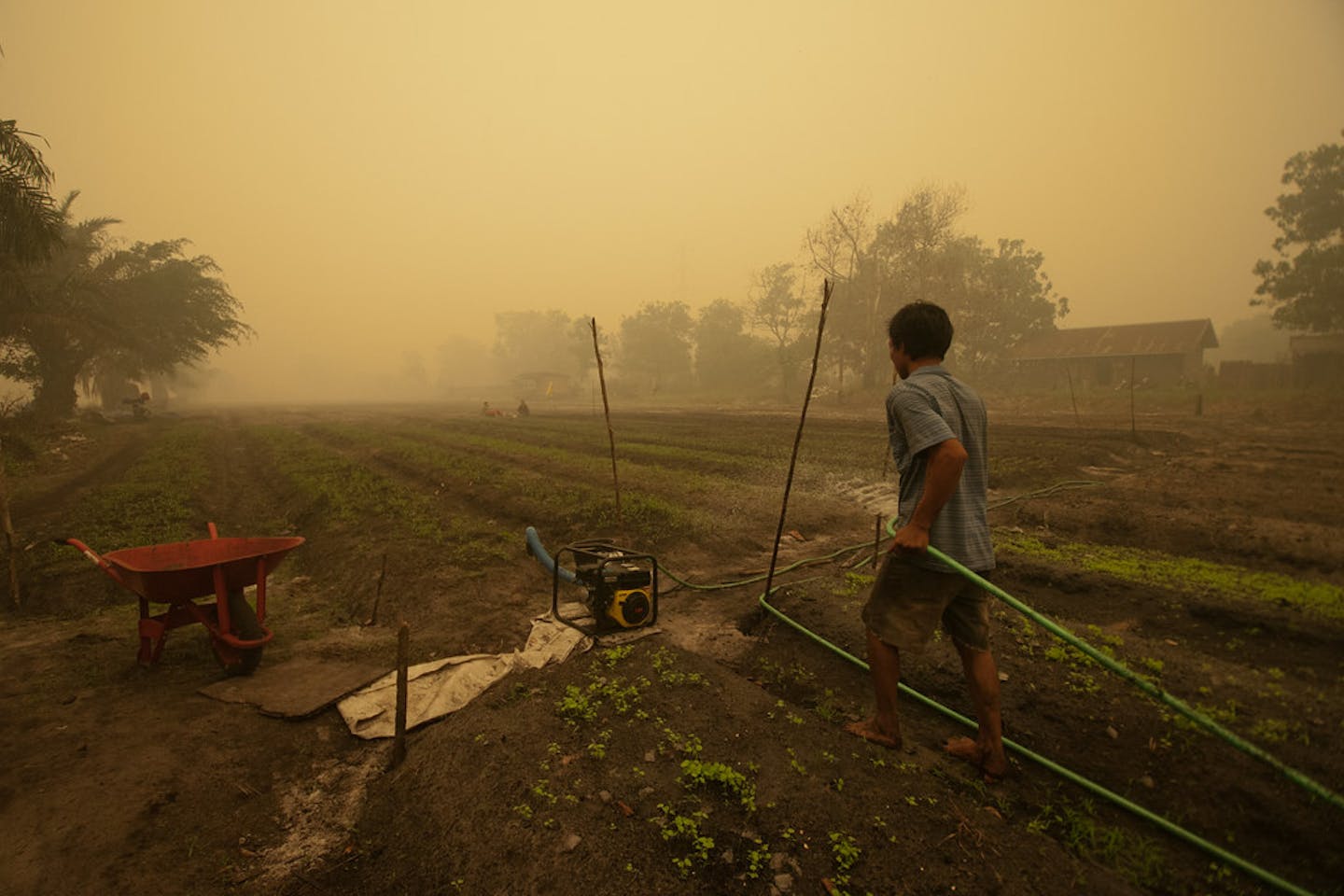 haze kalimantan indonesia