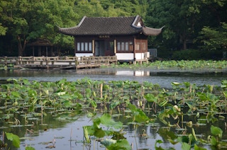 Wetlands_Conservation_China