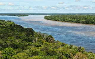 Amazon_Rainforest_Manaus_Credits