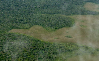 Amazon_Rainforest_Brazil