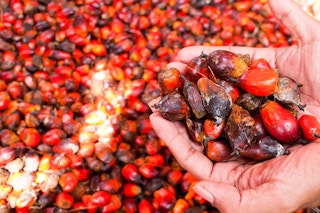 Palm_Oil_Reality_Check_India