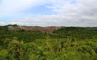 deforested area for palm oil in Kalimantan