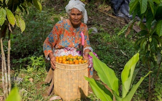 Indigenous_Inclusion_Farmer_indonesia