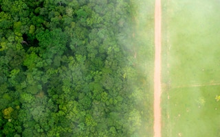 Mining_Deforestation_WWF_Report