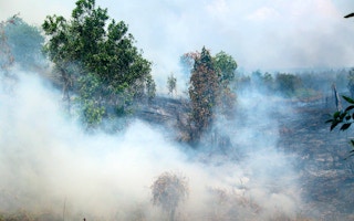 indonesia forest fire3