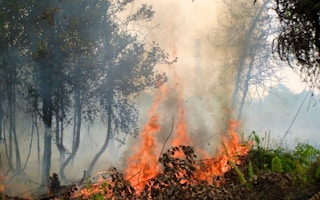 Forest_Fire_Indonesia