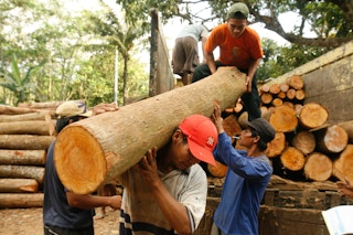 Logging_Workers_Indonesia