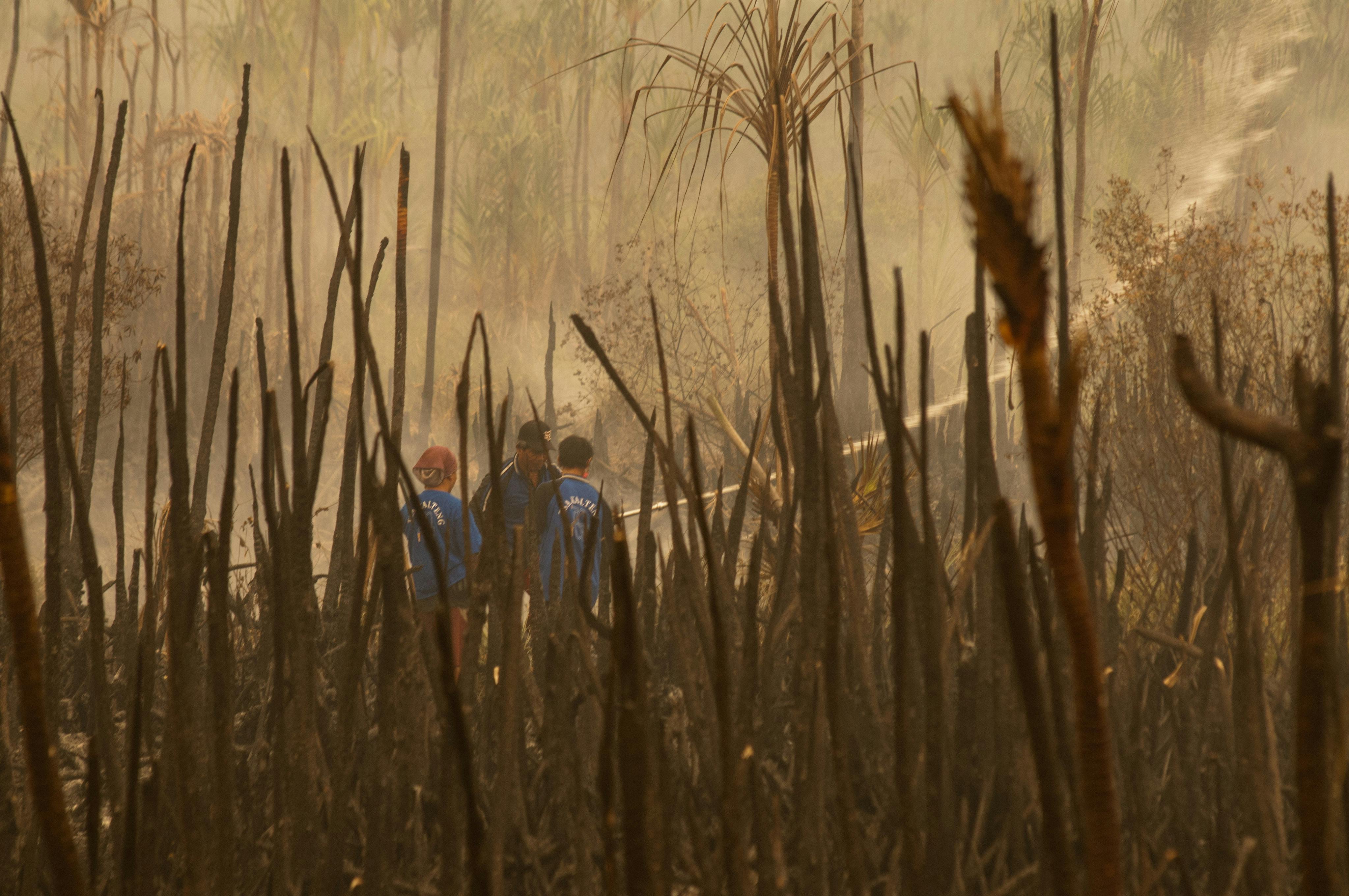 Wildfire_Kalimantan_Indonesia