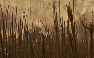 Wildfire_Kalimantan_Indonesia