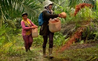 palm oil indonesia8