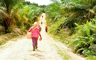palm oil workers back shot