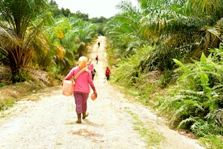 palm oil workers back shot