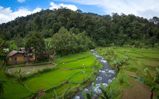 indonesian conservation area