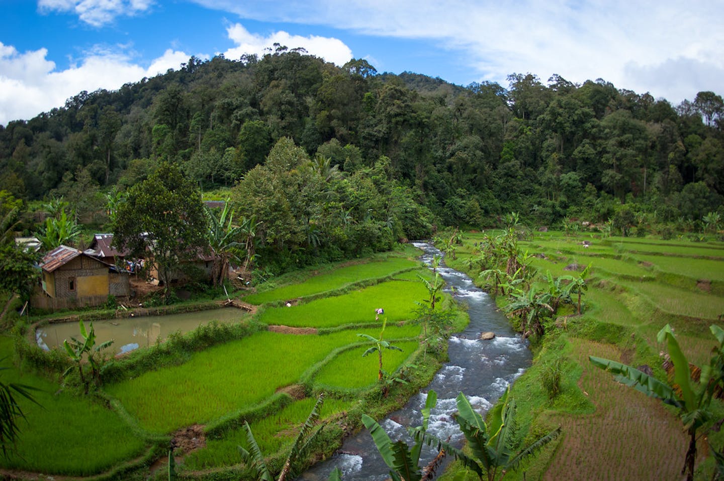 Protected status not enough to guard threatened nature reserves