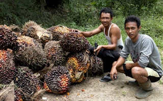 palm oil harvesters indonesia
