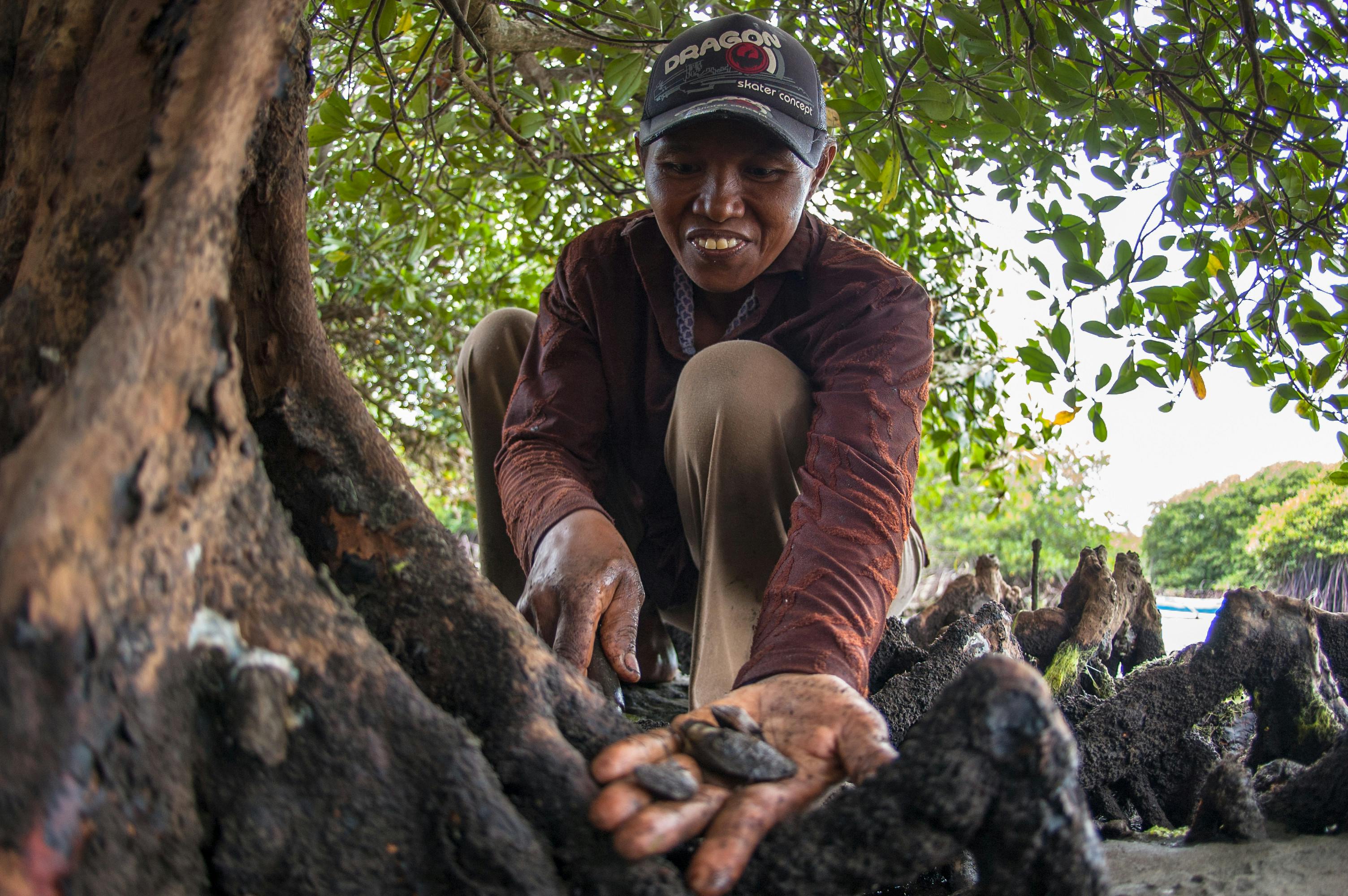 Coastal_Community_Clams_Indonesia