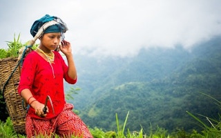 New guide aims to accelerate forest tenure pathways to gender equality