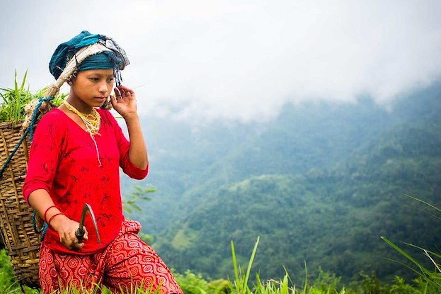 New guide aims to accelerate forest tenure pathways to gender equality