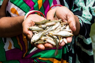 Climate_Risk_Fishing_Bangladesh