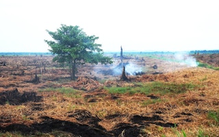 deforestation indonesia3