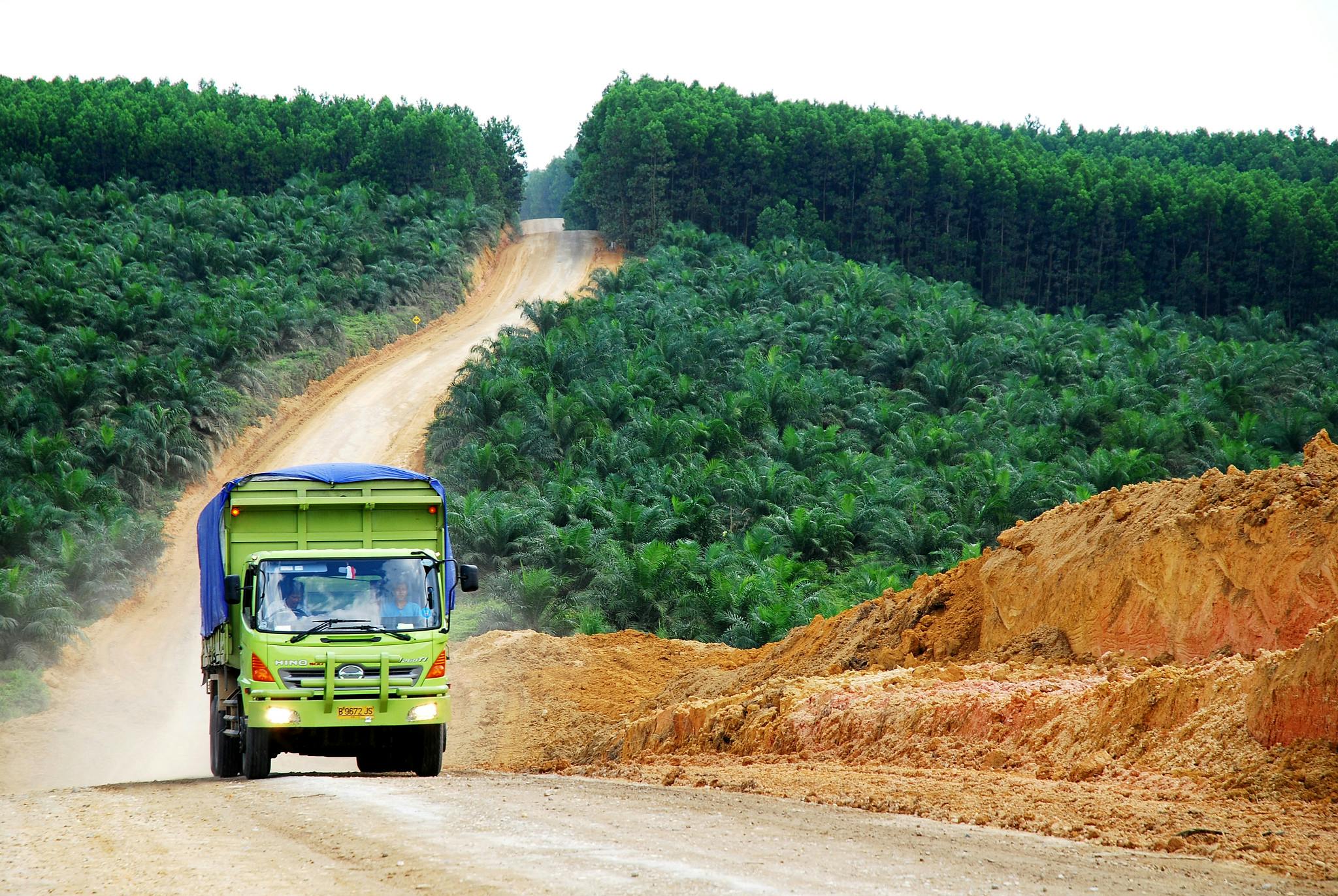Oil_Palm_Truck_Indonesia