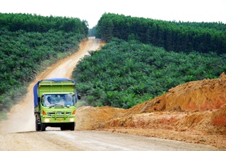Oil_Palm_Truck_Indonesia