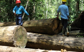logging east kalimantan indonesia