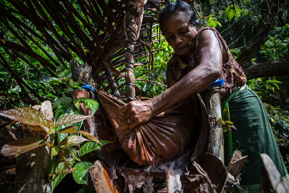 Why Indonesia must reduce its dependence on rice as a staple food