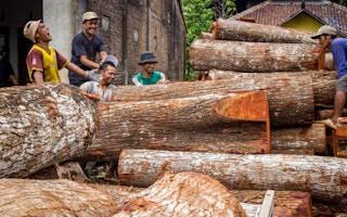 Deforestation_Indonesia_Oil_Palm