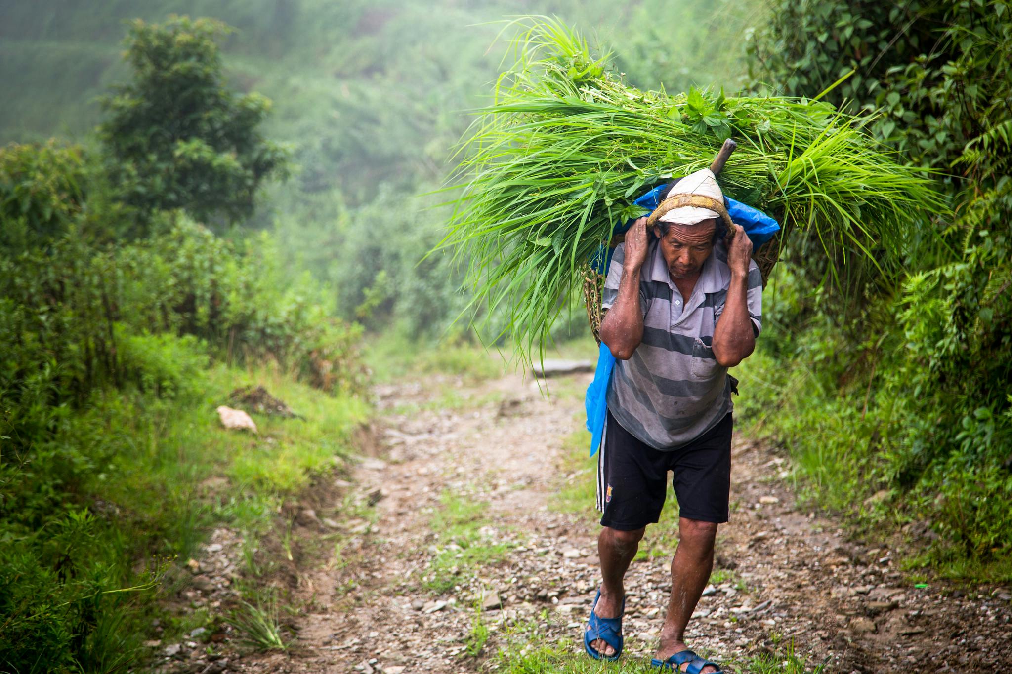 Mung_Beans_Cambodia_Farmer