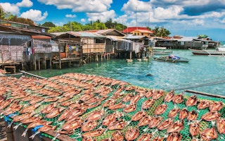 Fishing_Milkfish_Philippines