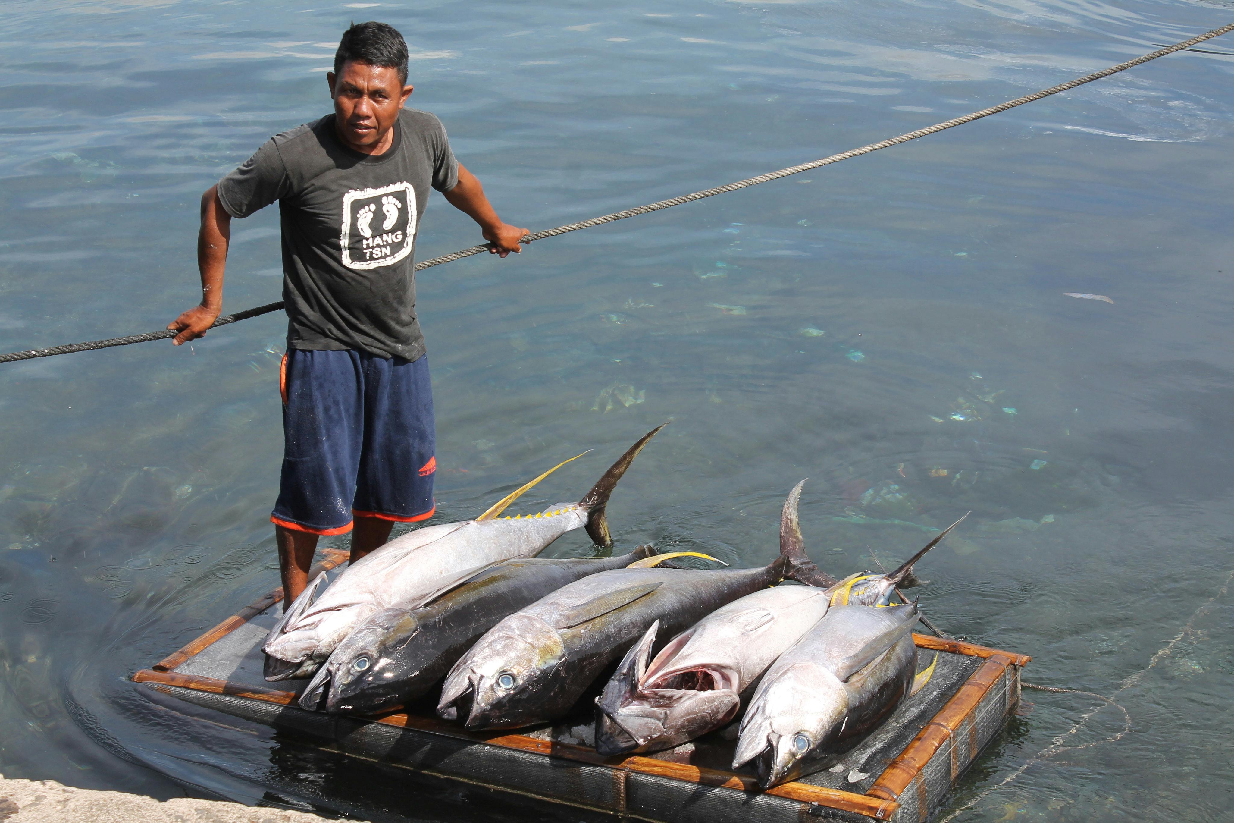 Fisherman_Manada_Indonesia_Fisheies_Transparency