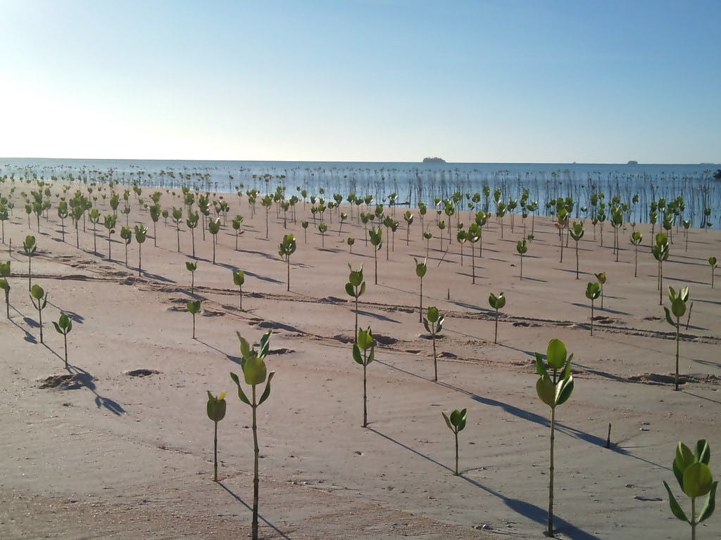 Island_Nation_Resilience_Tuvalu