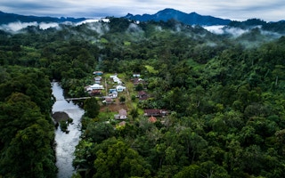 Rainforest_West_Kalimantan_Hulu