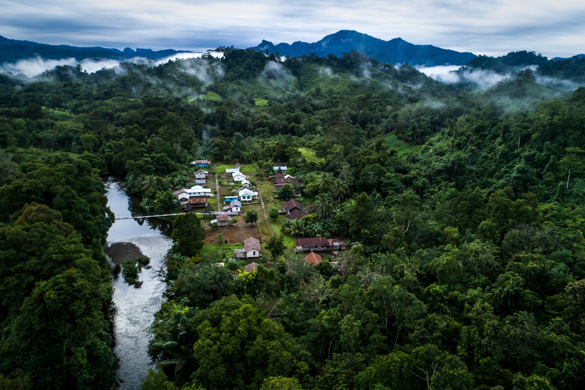 Mini rainforest initiative seeks to become a model for reforestation in Kalimantan