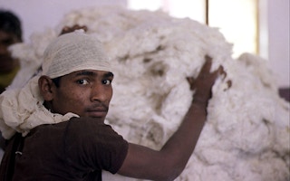 Cotton_Worker_India