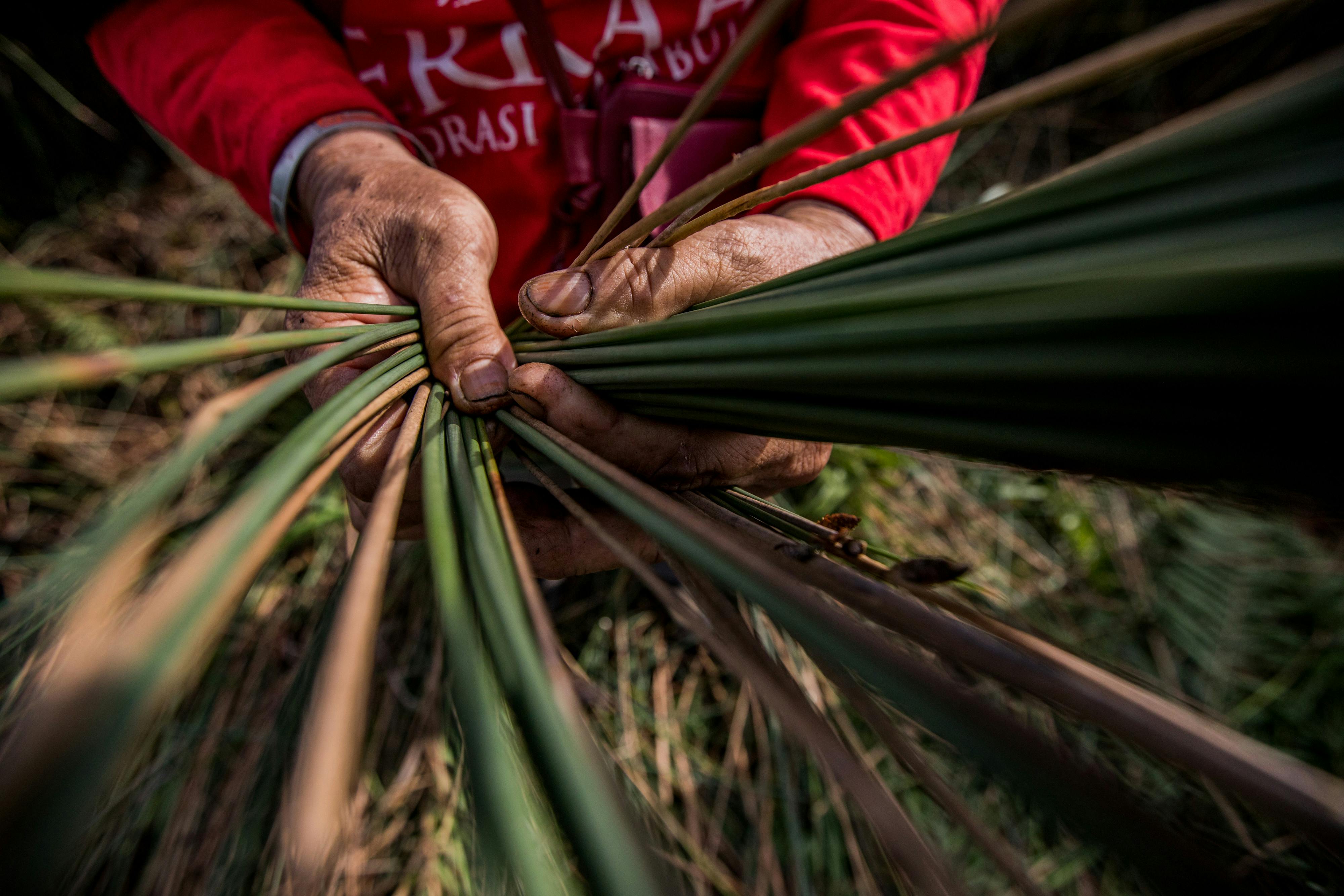 Peatlands_Conservation_2