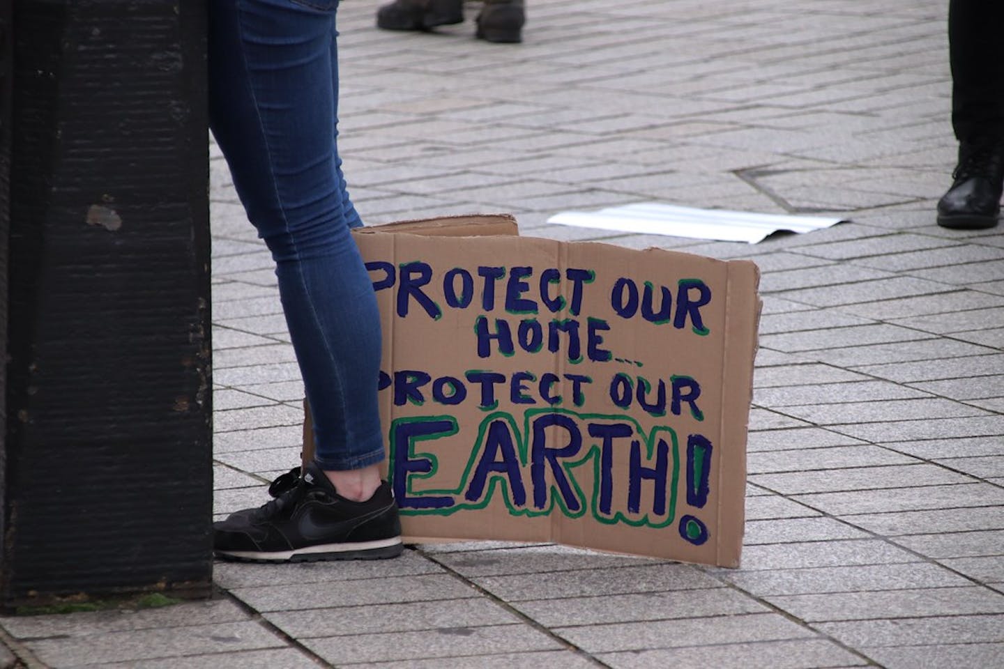 climate activism