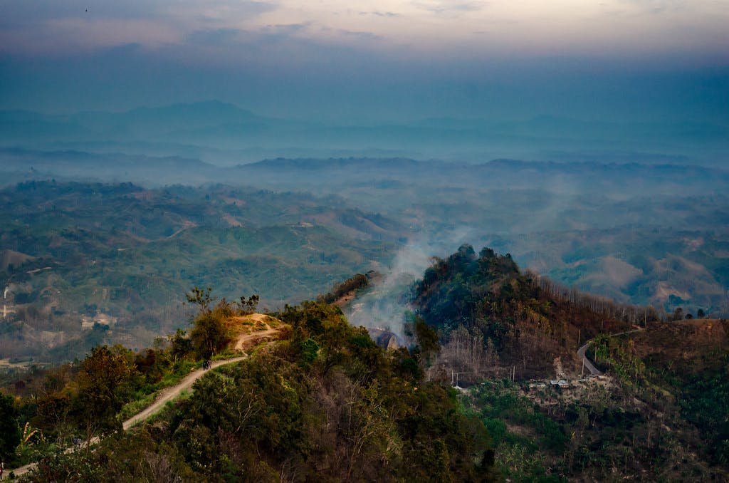 Bangladesh_Forest_Road