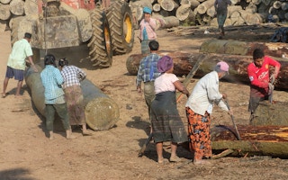 logging operations in Myanmar