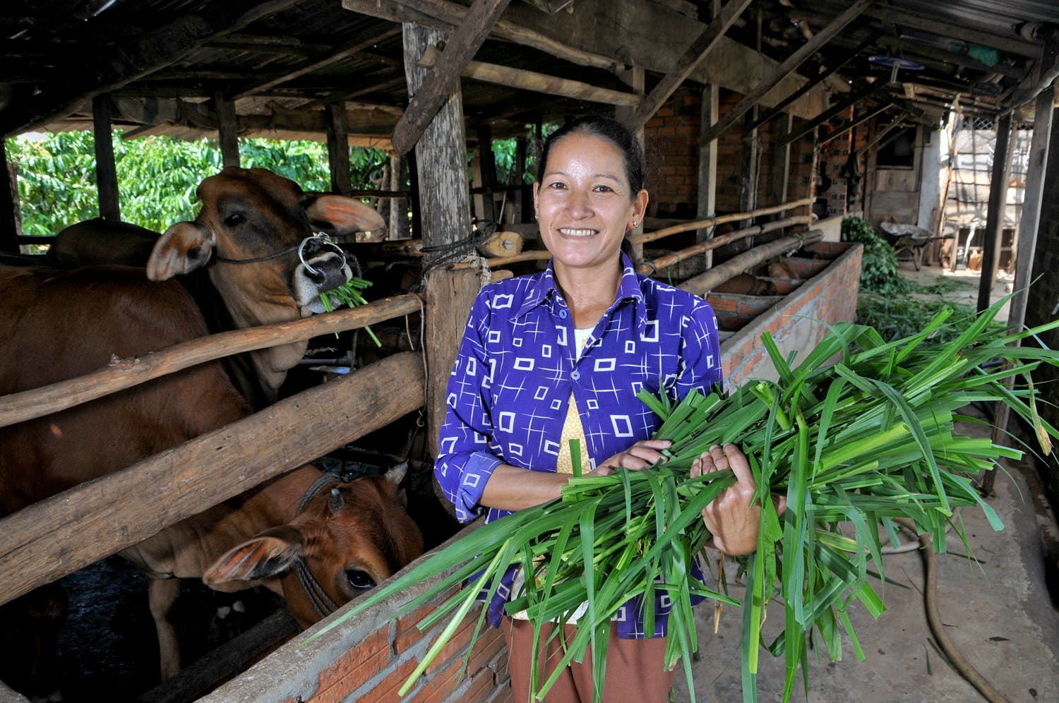 Young_Farmer_Dak_Lak_Vietnam