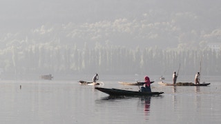Lake_Kashmir_Fish