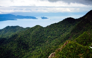 Forests in an island in Langkawi in northern Malaysia