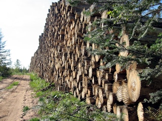 Lumber_Myanmar