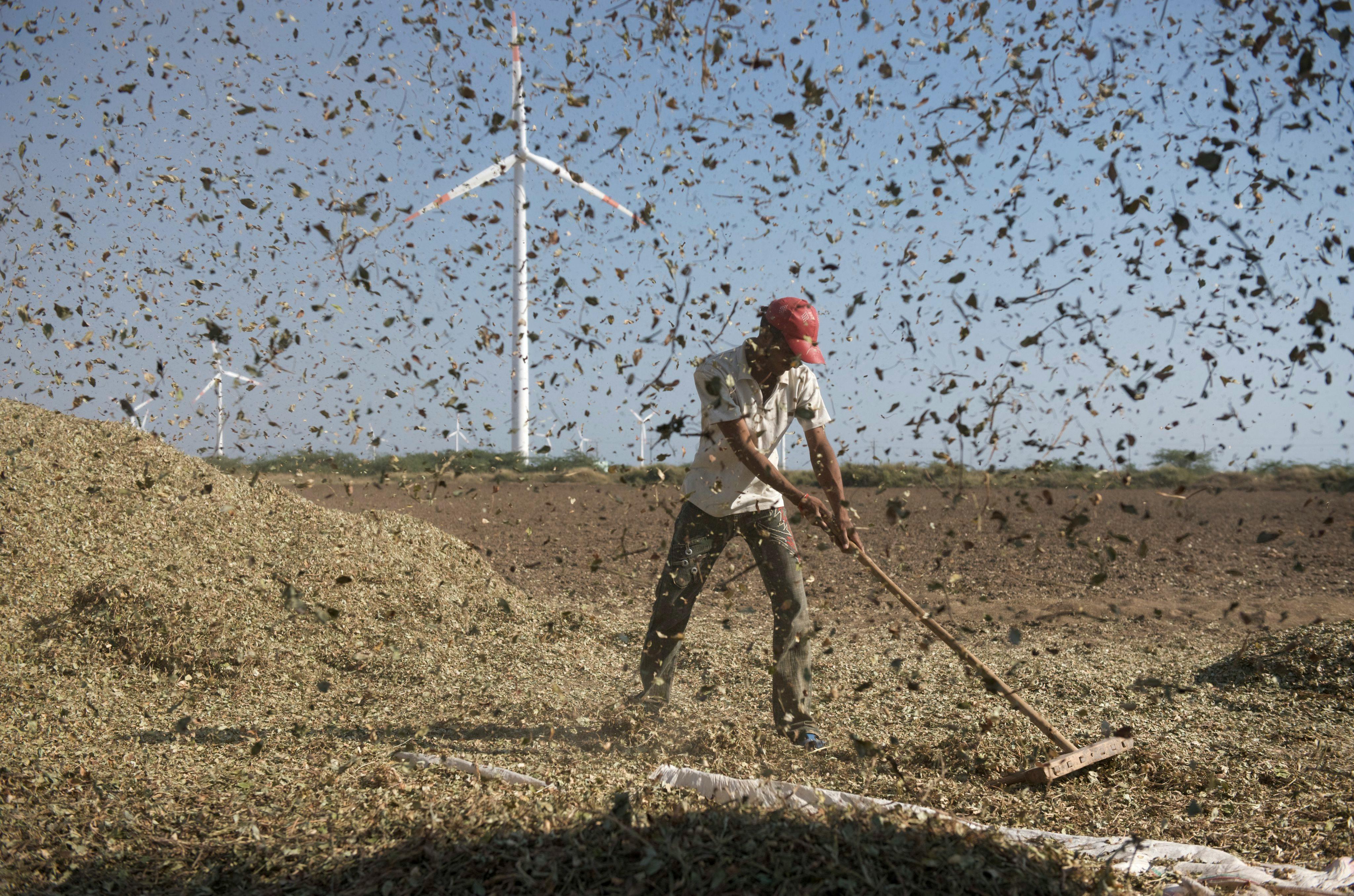 Wind_Farm_Kutch_India