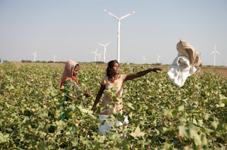 Field_Wind_Turbine_Kutch_India