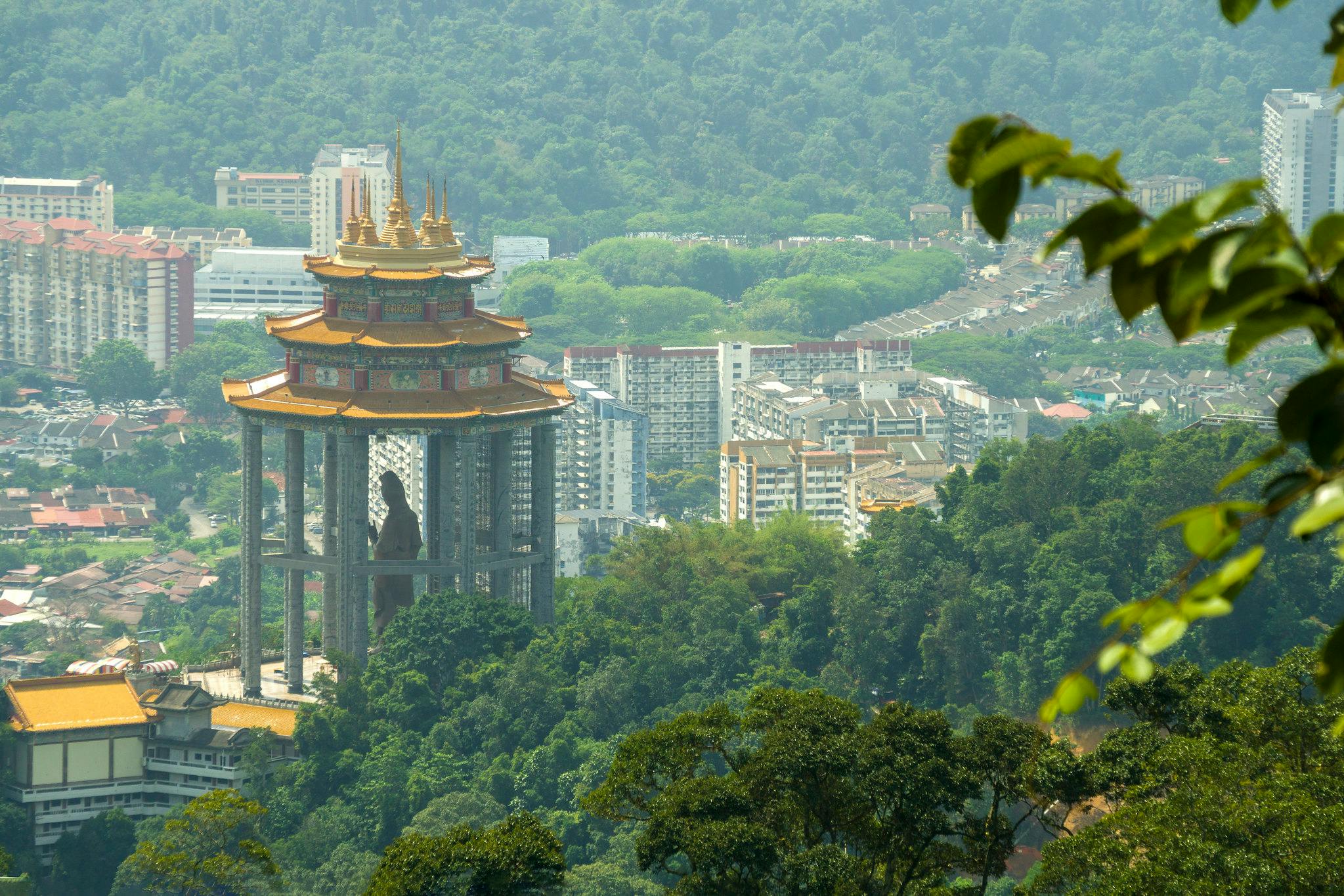 Forest_Penang_Malaysia