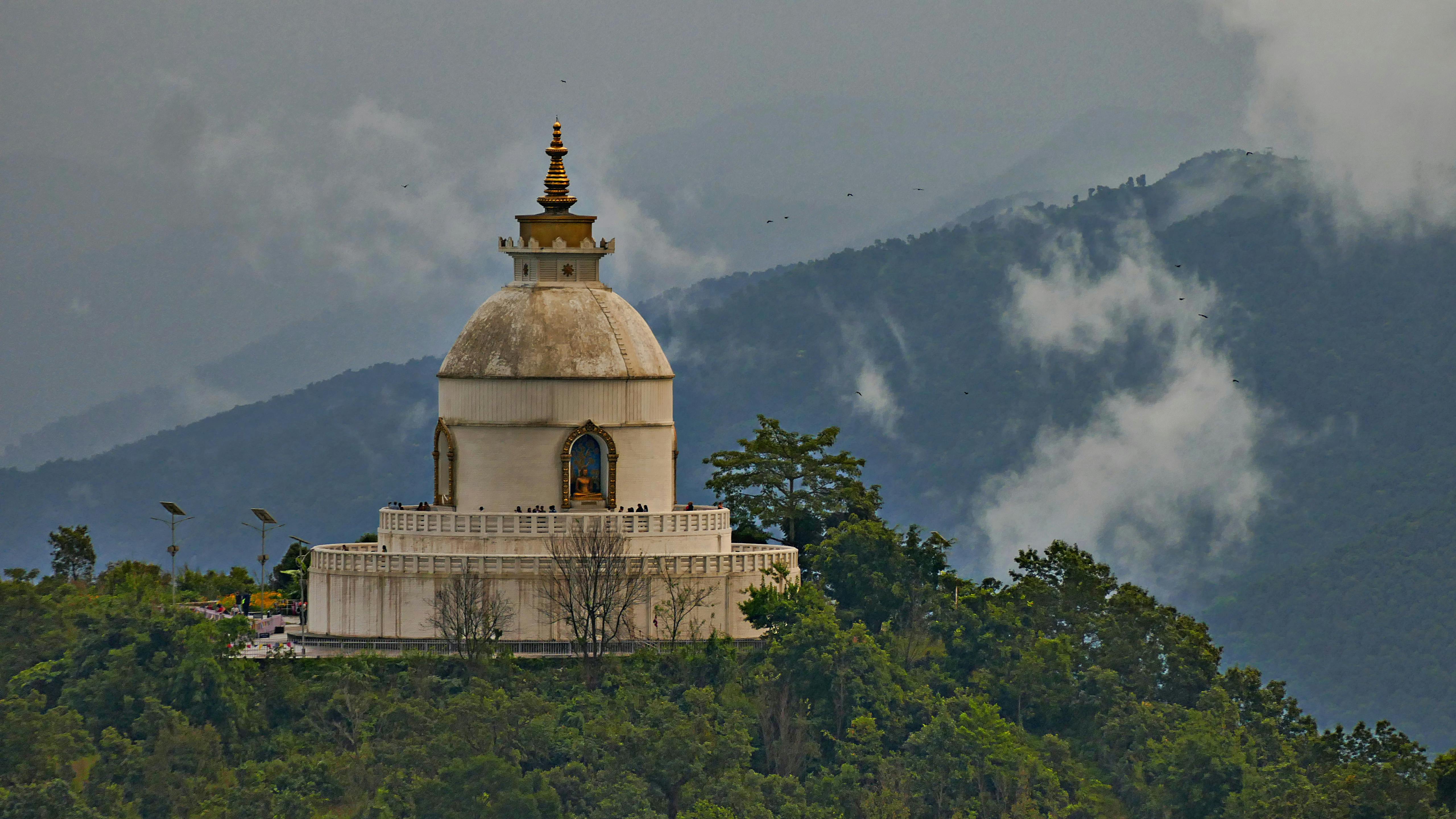 Forest_Conservation_Nepal