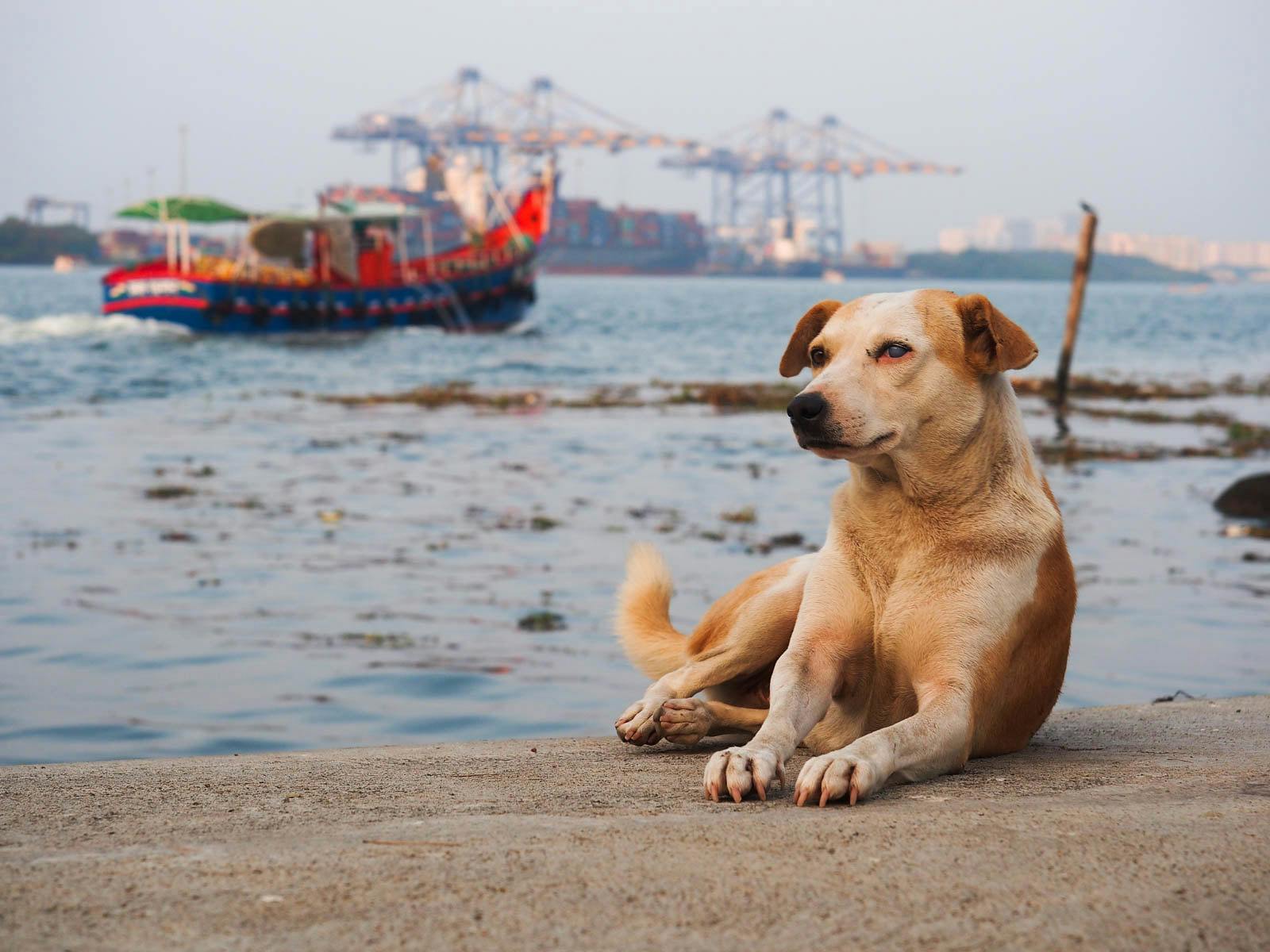 Thorium_Kerala_Beach