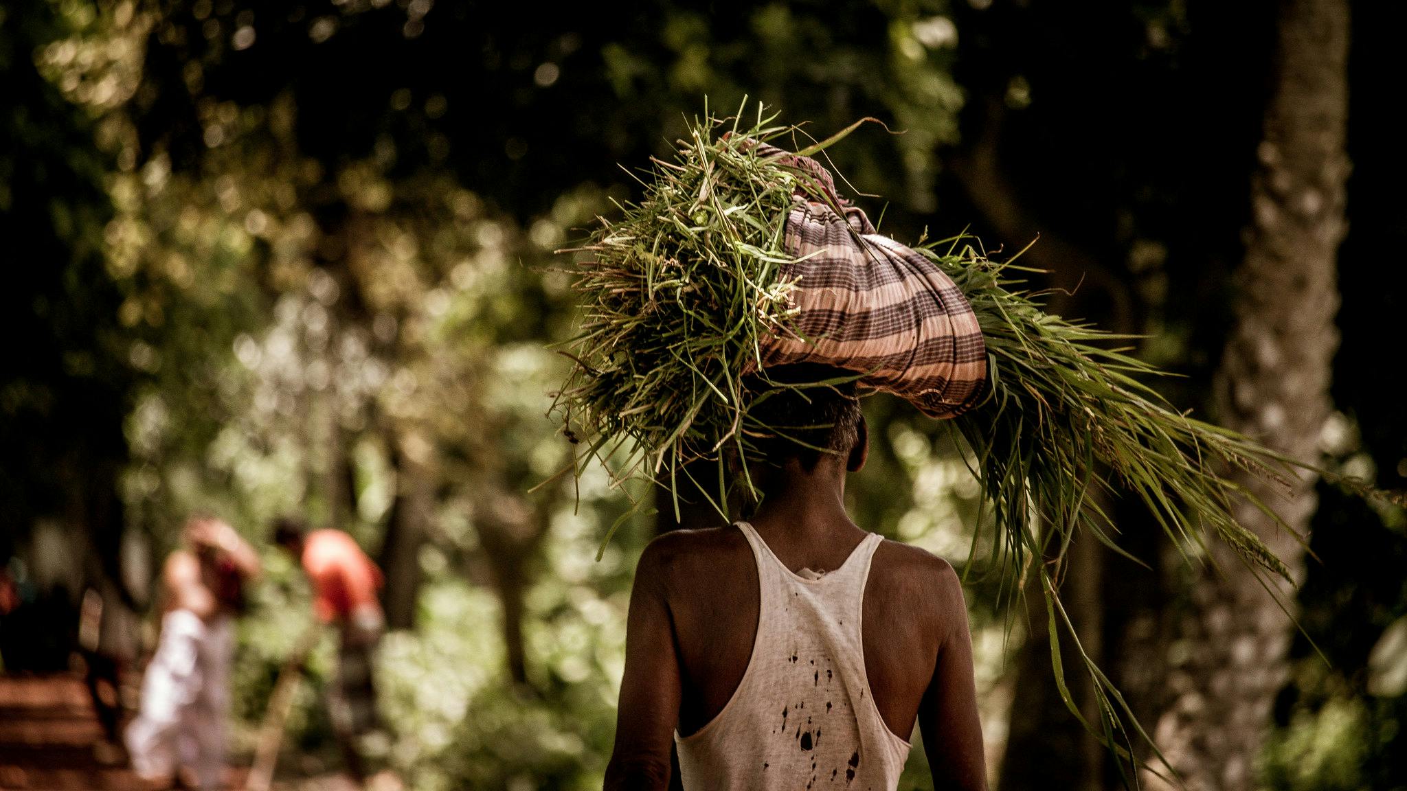 Farmer_Bangladesh_Market